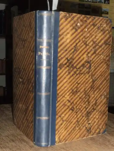 [Usedom, Gustav von]: Politische Briefe und Charakteristiken aus der deutschen Gegenwart. Mit Vorwort des Herausgebers. 