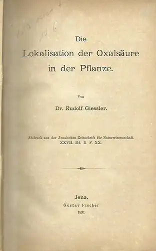 Giessler, Rudolf: Die Lokalisation der Oxalsäure in der Pflanze. Abdruck aus der Jenaischen Zeitschrift für Naturwissenschaft, XXVII, N.F. XX. 