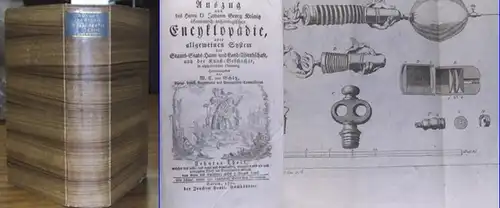 Krünitz, Johann Georg / M. C. von Schütz (Hrsg.): Zehnter Theil (10. Band): Kinn   Knütten, welcher den acht  und neun und dreyßigste.. 