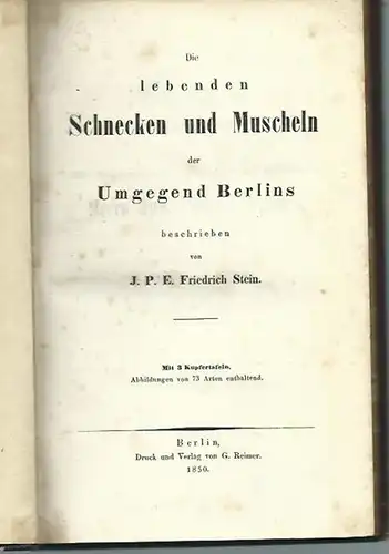 Stein, J. P. E. Friedrich: Die lebenden Schnecken und Muscheln der Umgegend Berlins. Mit Vorwort. 