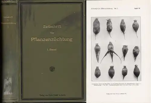 Zeitschrift für Pflanzenzüchtung. - Fruwirth, C. / L. Kiessling / H. Nilsson-Ehle / K. v. Rümker / E. v. Tschermak: Zeitschrift für Pflanzenzüchtung. Zugleich Organ...
