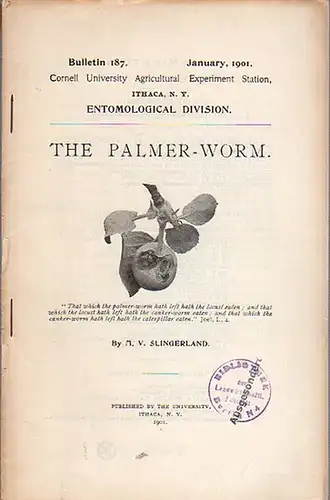 Slingerland, M. V: The Palmer-worm. (= Bulletin 187, January 1901. Cornell University Agricultural Experiment Station, Ithaca N. Y., Entomological division). 