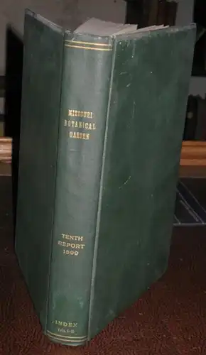 Missouri Botanical Garden. - F. Lamson-Scribner / Hermann von Schrenk / C. S. Plumb / C.E. Hutchings / William Trelease: Missouri Botanical Garden. Tenth annual report. Scientific Papers:  Notes on the Grasses in the Bernhardi Herbarium, collected by Thad