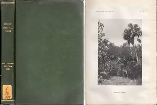 Missouri Botanical Garden. - Samuel Monds Coulter / Perley Spaulding / William Trelease: Missouri Botanical Garden. Fifteenth Annual Report. Scientific Papers:  An ecological comparison of some typical swamp areas. - By Samuel Monds Coulter // Two fungi g