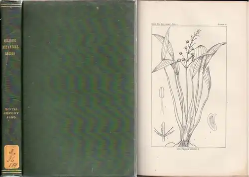Missouri Botanical Garden. - Jared G. Smith / William Trelease / Herbert J. Webber / B. F. Bush: Missouri Botanical Garden. Sixth Annual Report. Scientific Papers:  Revision of the North American Species of Sagittaria and Lophotocarpus - By Jared G. Smith