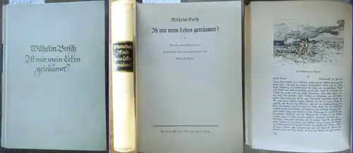 Busch, Wilhelm: Ist mir mein Leben geträumet? Briefe eines Einsiedlers gesammelt und herausgegeben von Otto Nöldeke. 