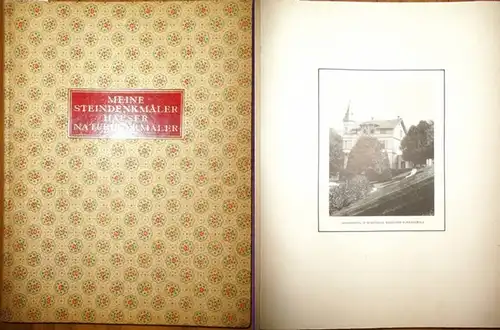 Rosenberg, Marc: Meine Steindenkmäler   Häuser   Naturdenkmäler. Abgebildet sind u.a. Schalenstein, spätetruskischer Grabstein, Tonvase aus Boscoreale, Merkurstatue, Steinrelief Gott Anthaeus, Gigantensäule, Pilaster.. 