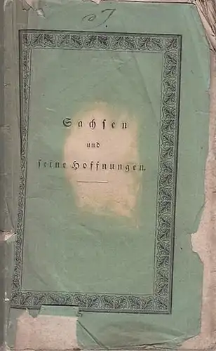 Steinbach, Karl von: Sachsen und seine Hoffnungen. Eine politische Denkschrift der Septemberwochen 1830. 