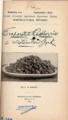Bailey, L. H. // Bailey, L. H.; Miller, Wilhelm and Hunn, C. E. // Bailey, L. H. // Bailey, L. H. // Slingerland, M. V. // Wyman, A. P. and Kains, M. G. // Roberts, I. P. and Clinton, L. A. // Willard, S. D. and Bailey, L. H: Bailey, L. H.: Evaporated Ras