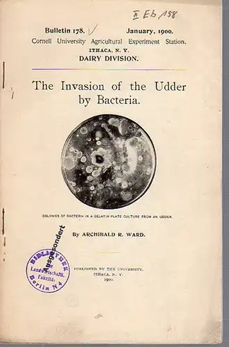 Ward, Archibald R: The Invasion of the Udder by Bacteria. (= Bulletin 178, January, 1900. Cornell University Agricultural Experiment Station, Ithaca N. Y. Dairy Division). 