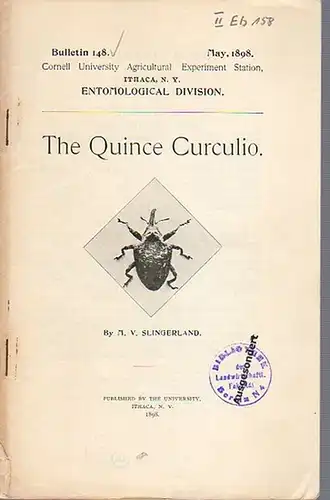 Slingerland, M. V: The Quince Curculio. (= Bulletin 148, May, 1898. Cornell University Agricultural Experiment Station, Ithaca N. Y. Entomological Division). 