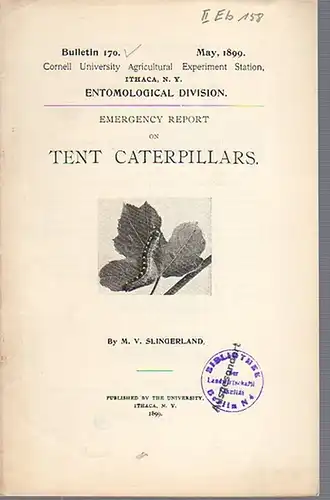 Slingerland, M. V: Emergency Report on Tent Caterpillars. (= Bulletin 170, May, 1899. Cornell University Agricultural Experiment Station, Ithaca N. Y. Entomological Division). 