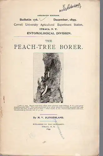 Slingerland, M. V: The Peach-Tree Borer. (= Bulletin 176, December, 1899. Cornell University Agricultural Experiment Station, Ithaca N. Y. Entomological Division). 