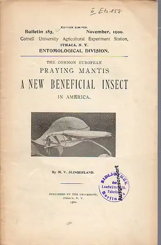 Slingerland, M. V: The Common European Praying Mantis a new Beneficial Insect in America. (= Bulletin 185, November, 1900. Cornell University Agricultural Experiment Station, Ithaca, N. Y. Entomological Division). 