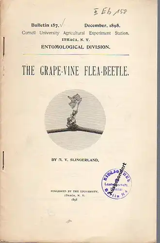 Slingerland, M. V: The Grape-Vine Flea-Beetle. (= Bulletin 157, December, 1898. Cornell University Agricultural Experiment Station, Ithaca N. Y. Entomological Division). 