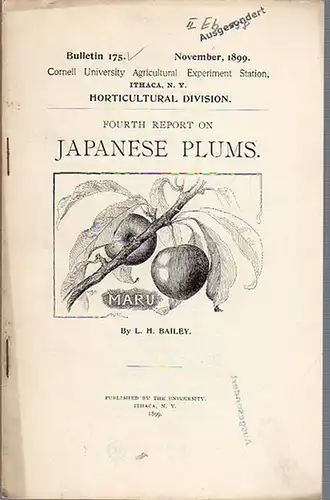 Bailey, L. H: Fourth Report on Japanese Plums. (= Bulletin 175, November, 1899. Cornell University Agricultural Experiment Station, Ithaca, N. Y. Horticultural Division). 