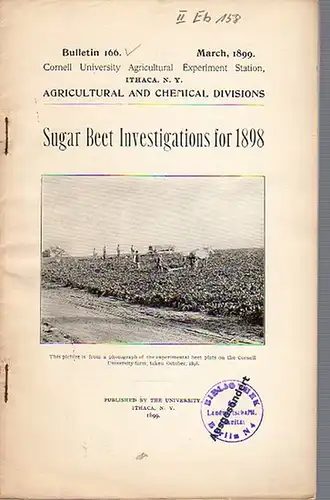 Roberts, I. P. and others: Sugar Beet Investigations for 1898. (= Bulletin 166, March, 1899. Cornell University Agricultural Experiment Station. Ithaca, N. Y.). 