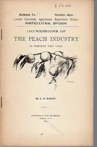 Bailey, L. H: Impressions of the Peach Industry in Wester New York. (= Bulletin 74, October, 1894. Cornell University Agricultural Experiment Station. Horticultural Division). 