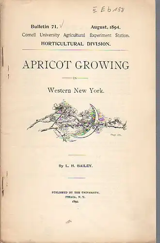 Apricot Growing in Western New York. (= Bulletin 71, August, 1894. Cornell University Agricultural Experiment Station. Horticultural Division)
