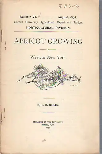 Bailey, L. H: Apricot Growing in Western New York. (= Bulletin 71, August, 1894. Cornell University Agricultural Experiment Station. Horticultural Division). 
