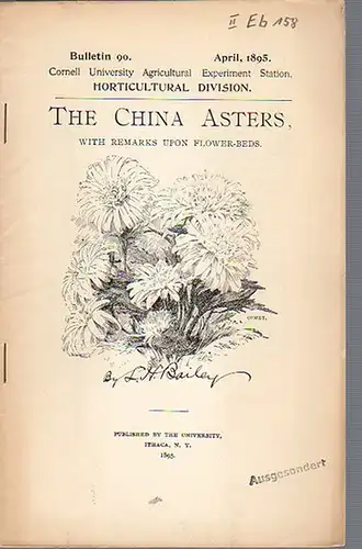 Bailey, L. H: The China Asters; with Remarks upon Flower-Beds. (= Bulletin 90, April, 1895. Cornell University Agricultural Experiment Station. Ithaca, N. Y. Horticultural Division.). 