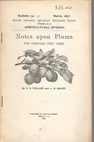 Willard, S. D. and Bailey, L. H: Notes upon Plums for Western New York. (= Bulletin 131, March, 1897. Cornell University Agricultural Experiment Station. Ithaca, N. Y. Horticultural Division.). 