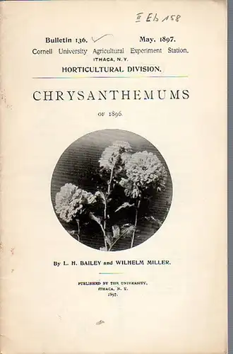 Bailey, L. H. and Miller, Wilhelm: Chrysanthemums of 1896. (= Bulletin 136, May, 1897. Cornell University Agricultural Experiment Station. Ithaca, N. Y. Horticultural Division.). 