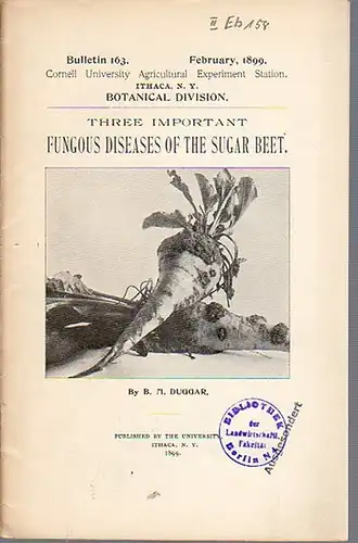 Duggar, B. M: Three Important Fungous Diseases of the Sugar Beet. (= Bulletin 163, February, 1899. Cornell University Agricultural Experiment Station. Ithaca, N. Y. Botanical Division.). 