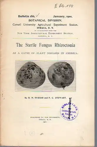 Duggar, B. M. // Stewart, F. C: The Sterile Fungus Rhizoctonia as a cause of plant diseases in America. (= Bulletin 186, January, 1901. Cornell University Agricultural Experiment Station. Ithaca, N. Y. in Co-operation with the New York Agricultural Experi