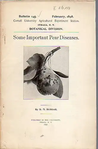 Duggar, B. M: Some Important Pear Diseases. (= Bulletin 145, February, 1898. Cornell University Agricultural Experiment Station, Botanical Division). 