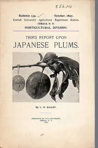 Bailey, L. H: Third Report upon Japanese Plums. (= Bulletin 139, October, 1897. Cornell University Agricultural Experiment Station. Ithaca, N. Y. Horticultural Division.). 