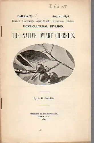 Bailey, L. H: The Native Dwarf Cherries. (= Bulletin 70, August, 1894. Cornell University Agricultural Experiment Station. Horticultural Division.). 