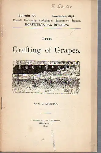 Lodeman, E. G: The Grafting of Grapes. (= Bulletin 77, November, 1894. Cornell University Agricultural Experiment Station. Horticultural Division.). 