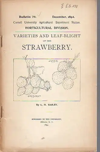 Bailey, L. H: Varieties and Leaf-Blight of the Strawberry. (= Bulletin 79, December, 1894. Cornell University Agricultural Experiment Station. Horticultural Division.). 