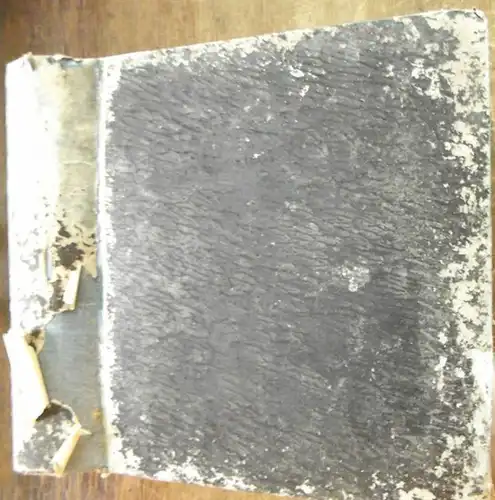 Amtsblatt der Königlichen Regierung zu Potsdam und der Stadt Berlin: Amts Blatt der Koeniglichen Regierung zu Potsdam und der Stadt Berlin (Früher: Amtsblatt der Koeniglichen.. 