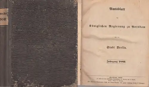 Amts-Blatt der Königlichen Regierung zu Potsdam und der Stadt Berlin: AmtsBlatt der Königlichen Regierung zu Potsdam und der Stadt Berlin. (Früher: Amtsblatt der Königlichen Kurmaerkischen...