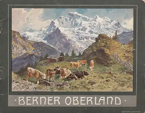 Maison Wehrli (Hrsg.): Berner Oberland. Souvenir-Album mit 40 Ansichten. Oberland Bernois - Bernese Oberland. Edition Illustrato. 