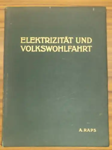 Raps, A: Elektrizität und Volkswohlfahrt - Sonderabdruck aus: Soziale Kultur und Volkswohlfahrt während der ersten 25 Regierungsjahre Kaiser Wilhelm II. 