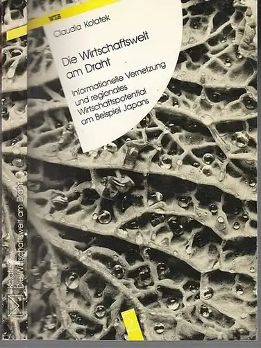 Kolatek, Claudia: Die Wirtschaftswelt am Draht. Informationelle Vernetzung und regionales Wirtschaftspotential am Beispiel Japans. 
