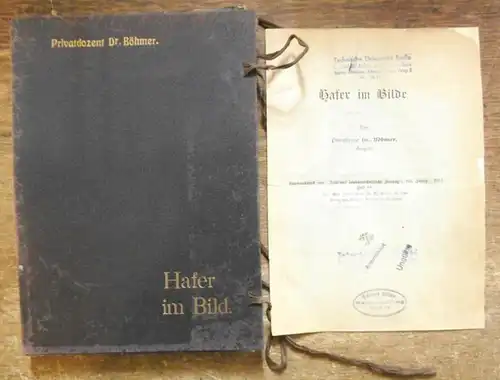 Böhmer: Hafer im Bilde. Sonderabdruck aus 'Fühlings Landwirtschaftliche Zeitung', Jahrgang 60, Heft 18, 1911. 
