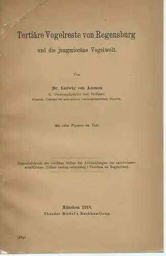 Ammon, Ludwig von: Tertiäre Vogelreste von Regensburg und die jungmiocäne Vogelwelt. Separatabdruck aus 'Abhandlungen des naturwissenschaftlichen Vereines zu Regensburg'. 