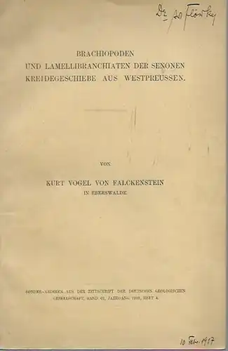 Falckenstein, Kurt Vogel von: Brachiopoden und Lamellibranchiaten der Senonen Kreidegeschiebe aus Westpreussen. Sonder-Abdruck aus der 'Zeitschrift der deutschen geologischen Gesellschaft', Band 62, Jahrgang 1910, Heft 4. 