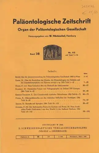 Paläontologische Zeitschrift. -  Häntzschel, W. (Hrsg.). -  W. Gross / F. von Huene / H. Glashoff / E. Kristan-Tollmann / E. Flügel /...