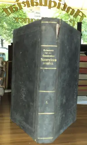 Zeitschrift für die gesamten Naturwissenschaften. - Naturw. Vereine für Sachsen u. Thüringen in Halle (Hrsg.) / C. Giebel, W. Heintz (Red.): Zeitschrift für die Gesammten [ gesamten ] Naturwissenschaften. Sechster ( 6. ) Band, Jahrgang 1855. 