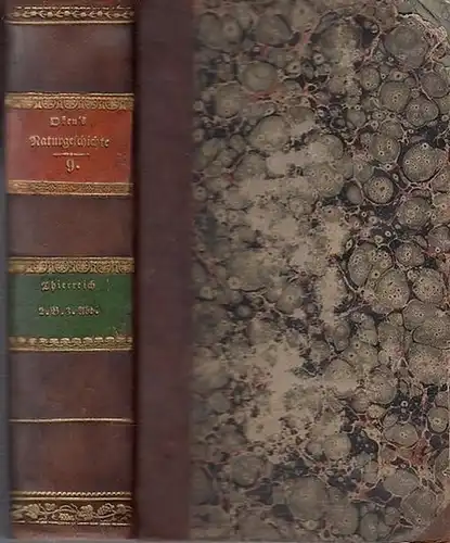 Oken, [Lorenz]: Allgemeine Naturgeschichte für alle Stände. Fünften Bandes dritte Abtheilung oder Thierreich, zweiten Bandes letzte Abtheilung. 
