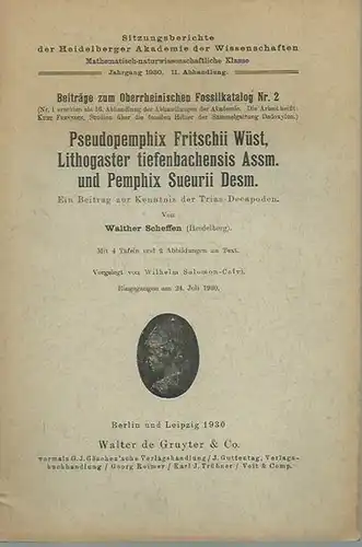 Scheffen, Walther: Pseudopemphix Fritschii Wüst, Lithogaster tiefenbachensis Assm. und Pemphix Sueurii Desm. Ein Beitrag zur Kenntnis der Trias Decapoden. Beiträge zum oberrheinischen Fossilkatalog Nr. 2.. 