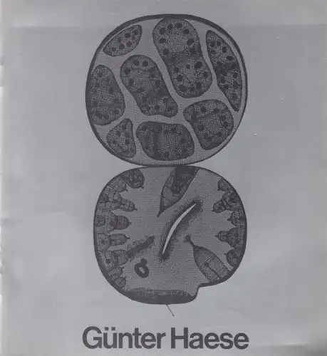 Günter Haese.  Arbeiten 1963 - 1979