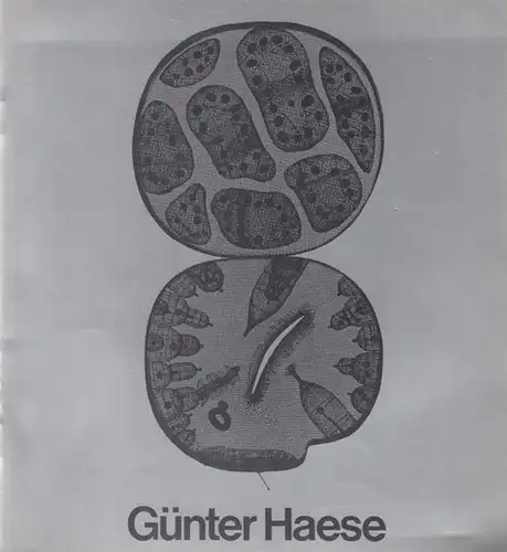 Haese, Günter. - Hrsg.  INTERVERSA Gesellschaft für Beteiligungen / Wietek. Gerhard: Günter Haese.  Arbeiten 1963 - 1979. 