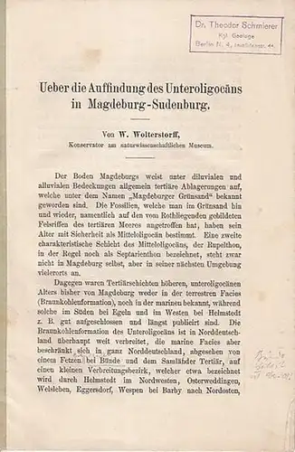 Wolterstorff, W: Ueber die  Auffindung  des Unterligocäns in Magdeburg-Sudenburg. 