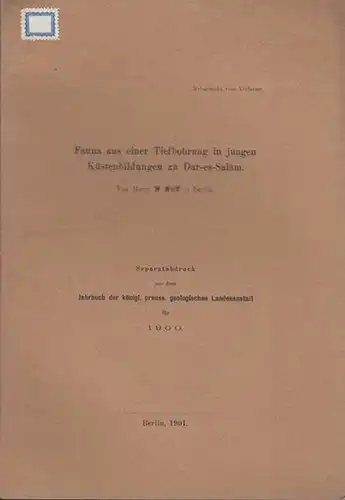 Wolff, W: Fauna aus einer Tiefbohrung in jungen Küstenbildungen zu Dar-es-Salam. ( Separatabdruck aus dem Jahrbuch der  königl.  preuss. geologischen Landesanstalt für 1900). 